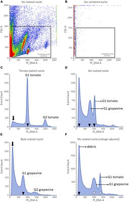 An Evaluation of Nuclei Preparation of the Dormant Axillary Bud of Grapevine for Cell Cycle Analysis by Flow Cytometry